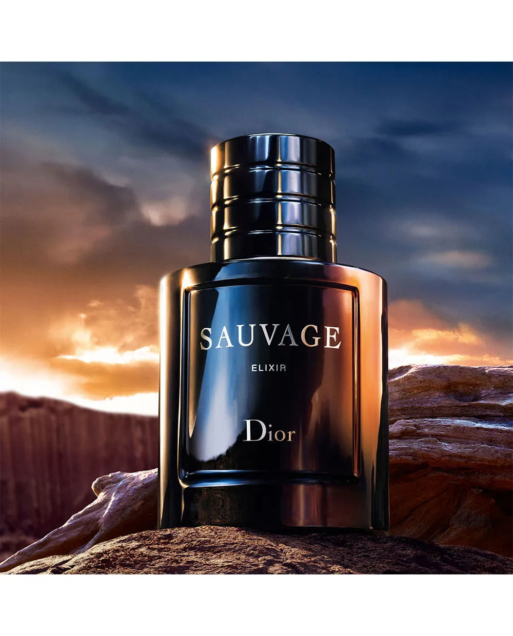 Dior Sauvage Elixir 60ml frasco de perfume masculino vista frontal
